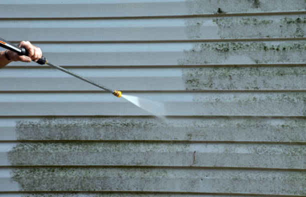 Best Mold Remediation Services  in Santa Venetia, CA