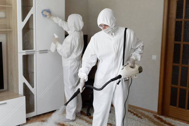 Best Professional Mold Removal  in Santa Venetia, CA