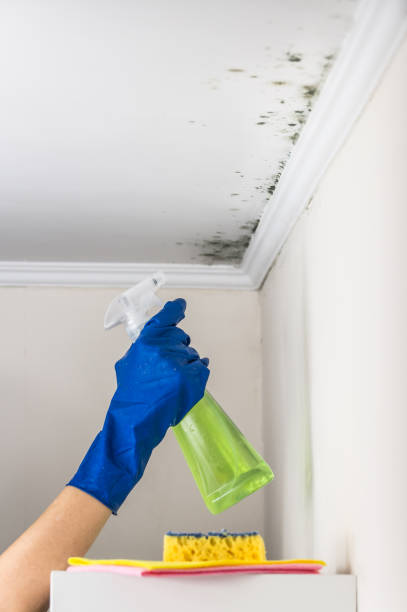 Best Mold Testing  in Santa Venetia, CA