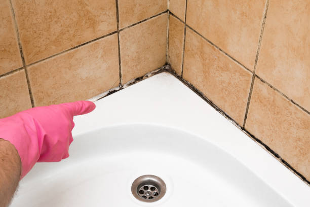 Best Crawl Space Mold Removal  in Santa Venetia, CA